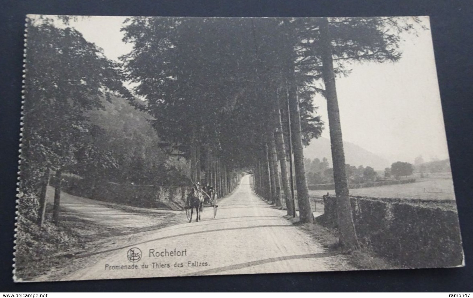 Rochefort - Promenade Du Thiers Des Falizes - Ern. Thill, Bruxelles, Série 11, N° 26 - Rochefort