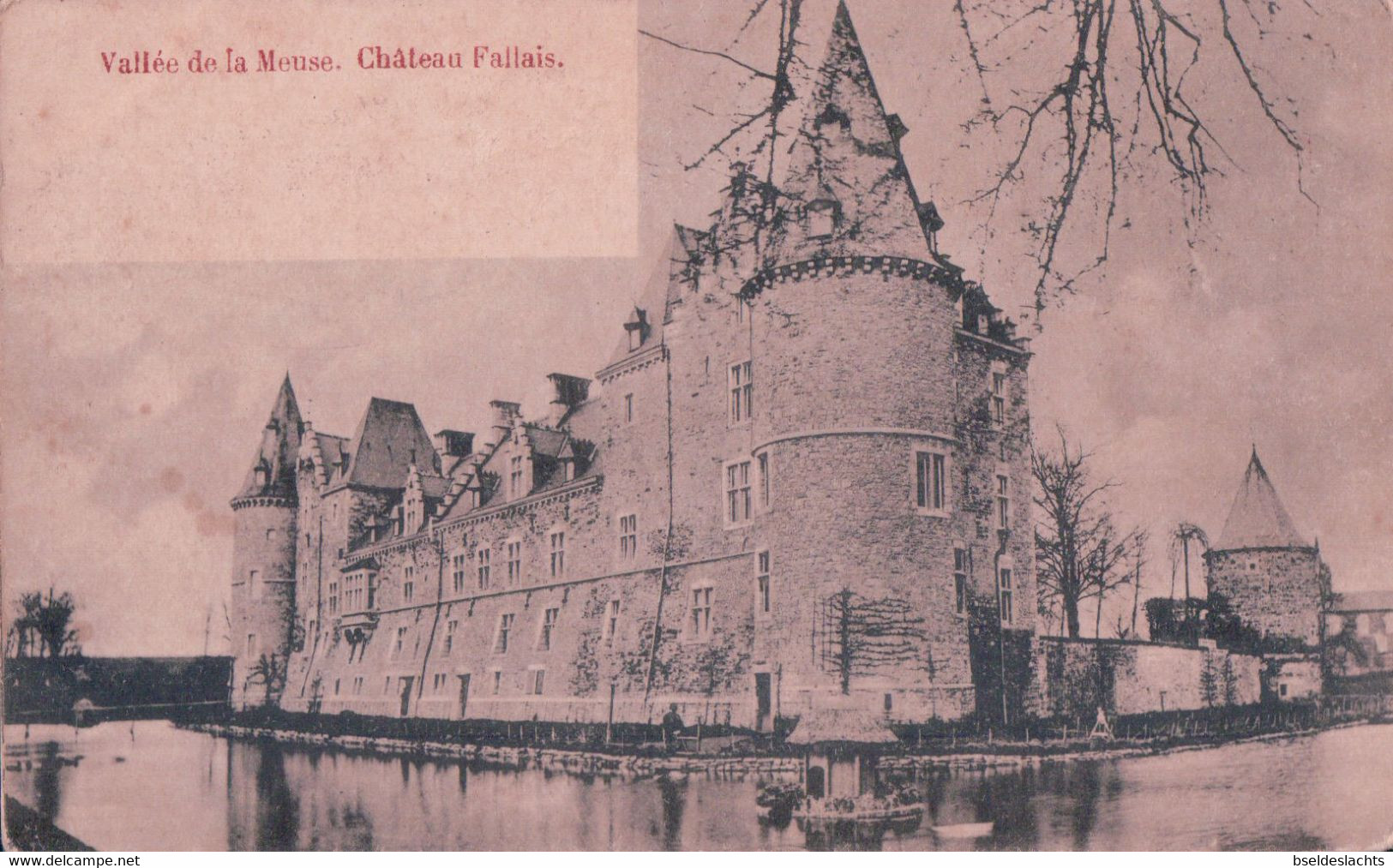 Vallée De La Meuse Chateau Fallais - Braives