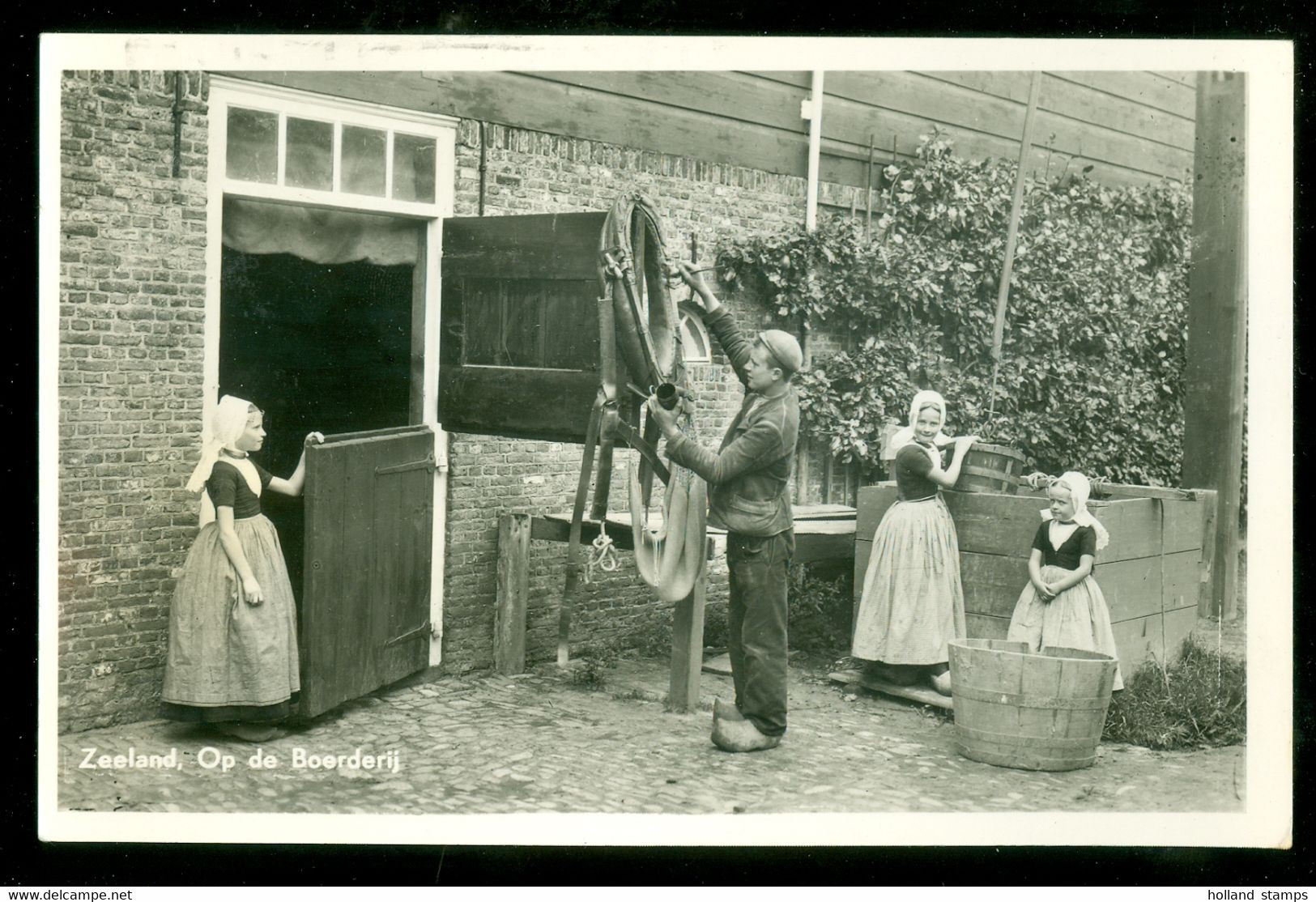 ANSICHTKAART * ZEELAND * OP DE BOERDERIJ   (3942t) - Renesse