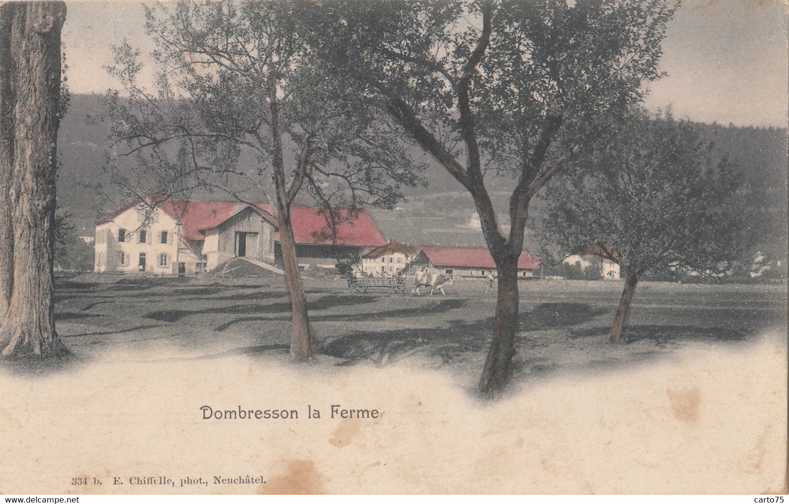 Suisse - Dombresson - La Ferme - Postmarked 1910 - Dombresson 