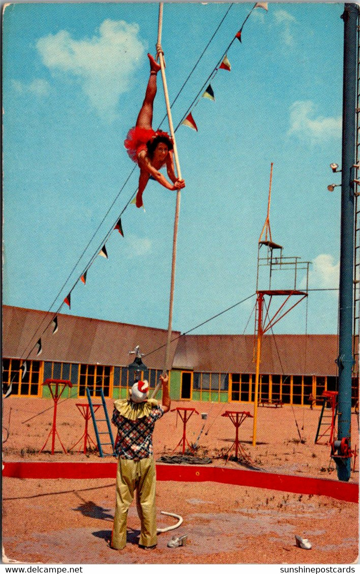 Florida Sarasota Circus Hall Of Fame Aerialist In Action - Sarasota