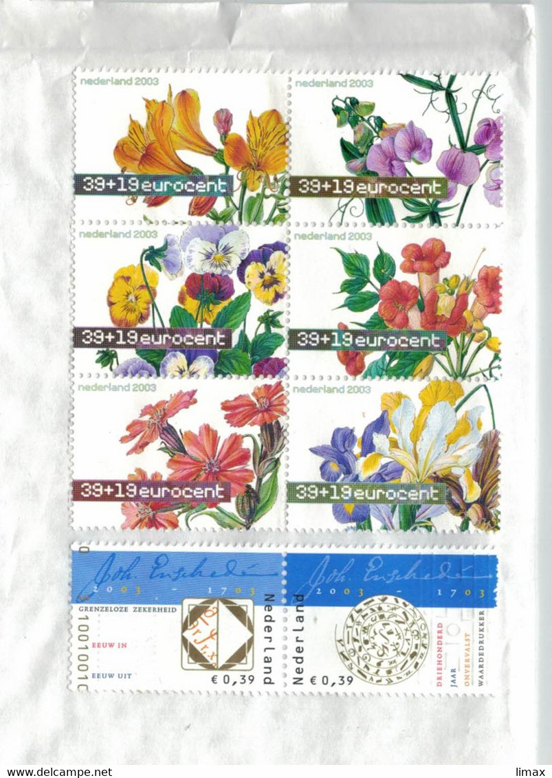 Blumen Veilchen Viola - Wicke Vicia Craccae - Nelke - Iris - Ungestempelt Auf BST - Briefe U. Dokumente