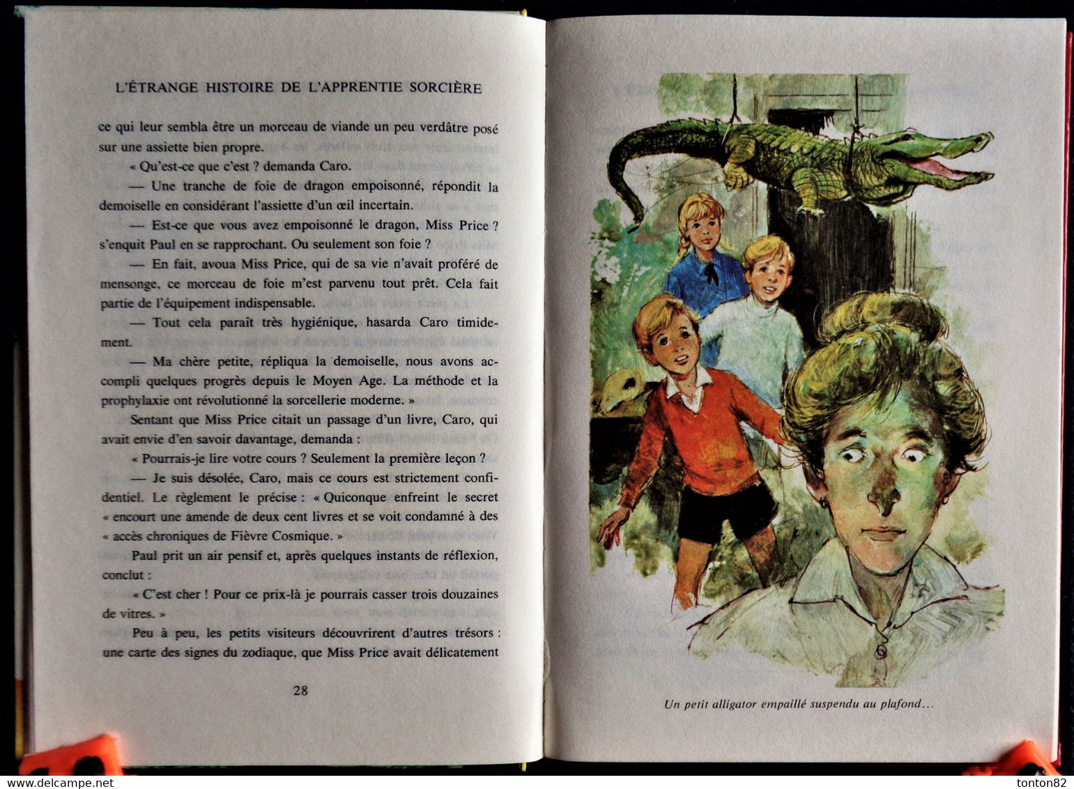 Mary Norton - L'étrange Histoire De L'Apprentie Sorcière - Idéal Bibliothèque  - ( 1972) . - Ideal Bibliotheque