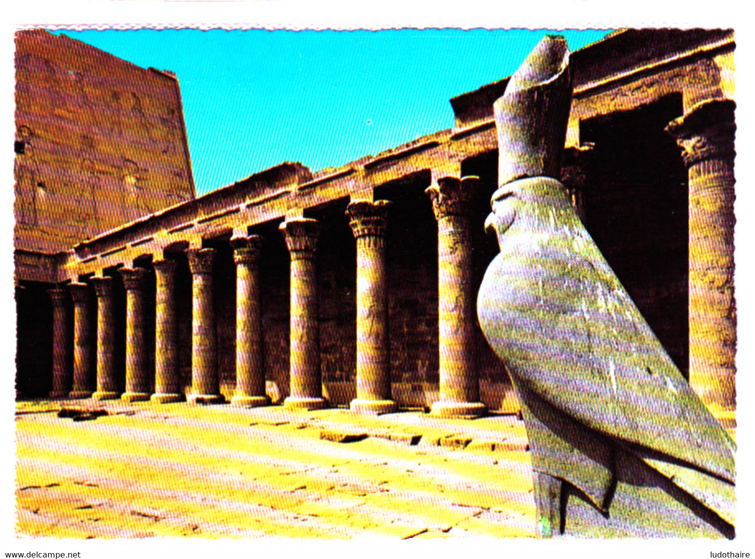 CP Egypte / Edfou / Cour Du Temple D'Horus / - Idfu