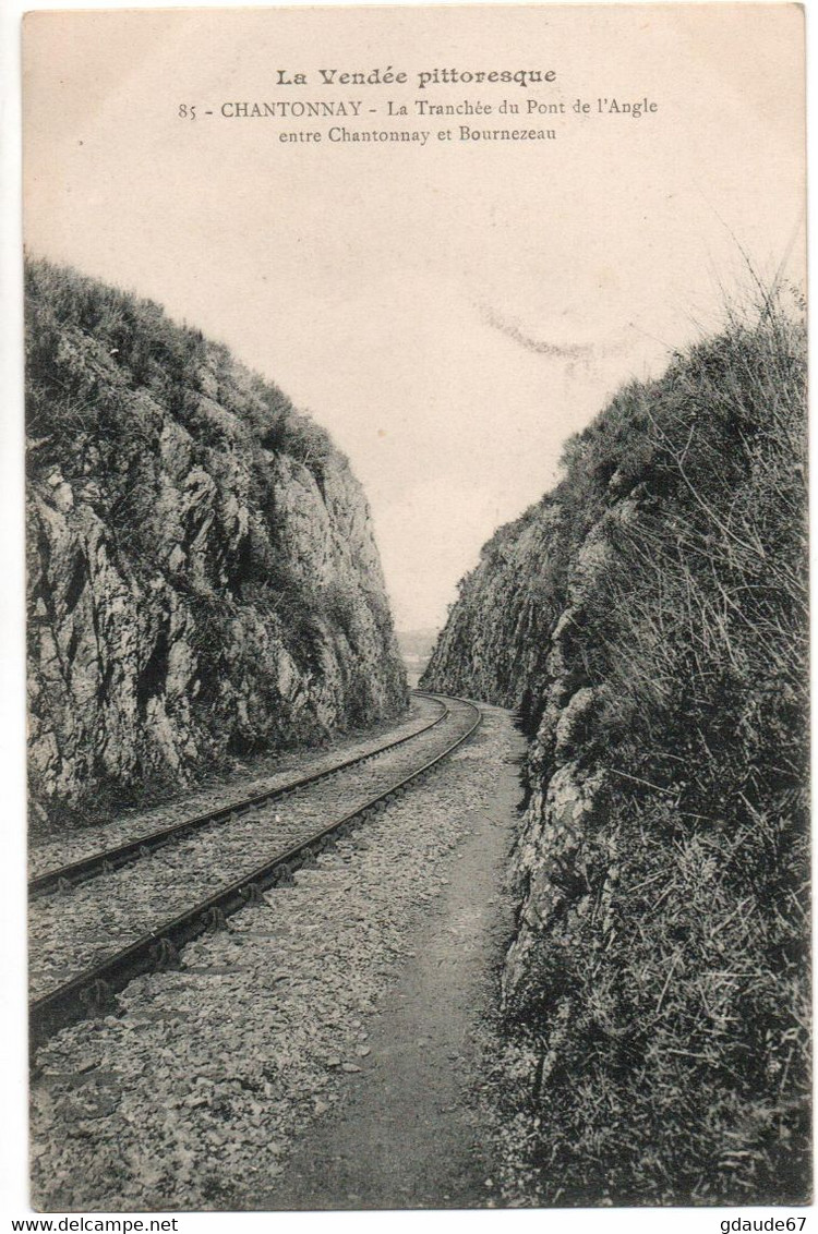 CHANTONNAY (85) - LA TRANCHEE DU PONT DE L'ANGLE ENTRE CHANTONNAY ET BOURNEZEAU - Chantonnay