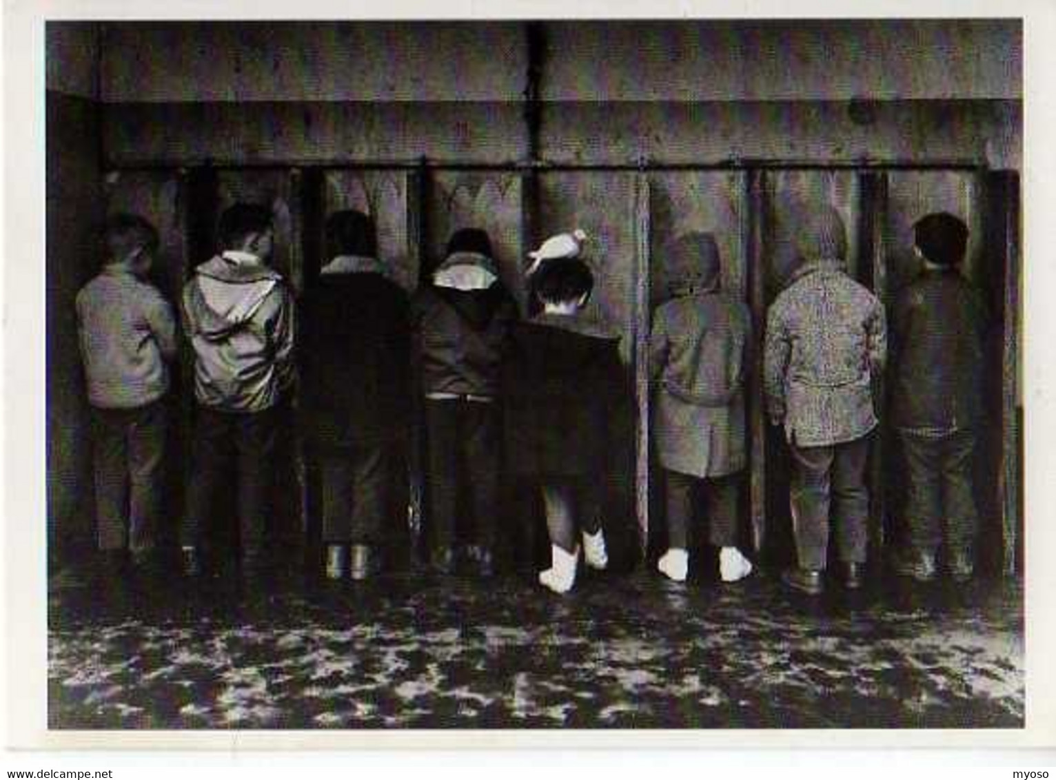 DOISNEAU Pipi Pigeon, Garcons De Dos En Train D'uriner, Urinoirs - Doisneau