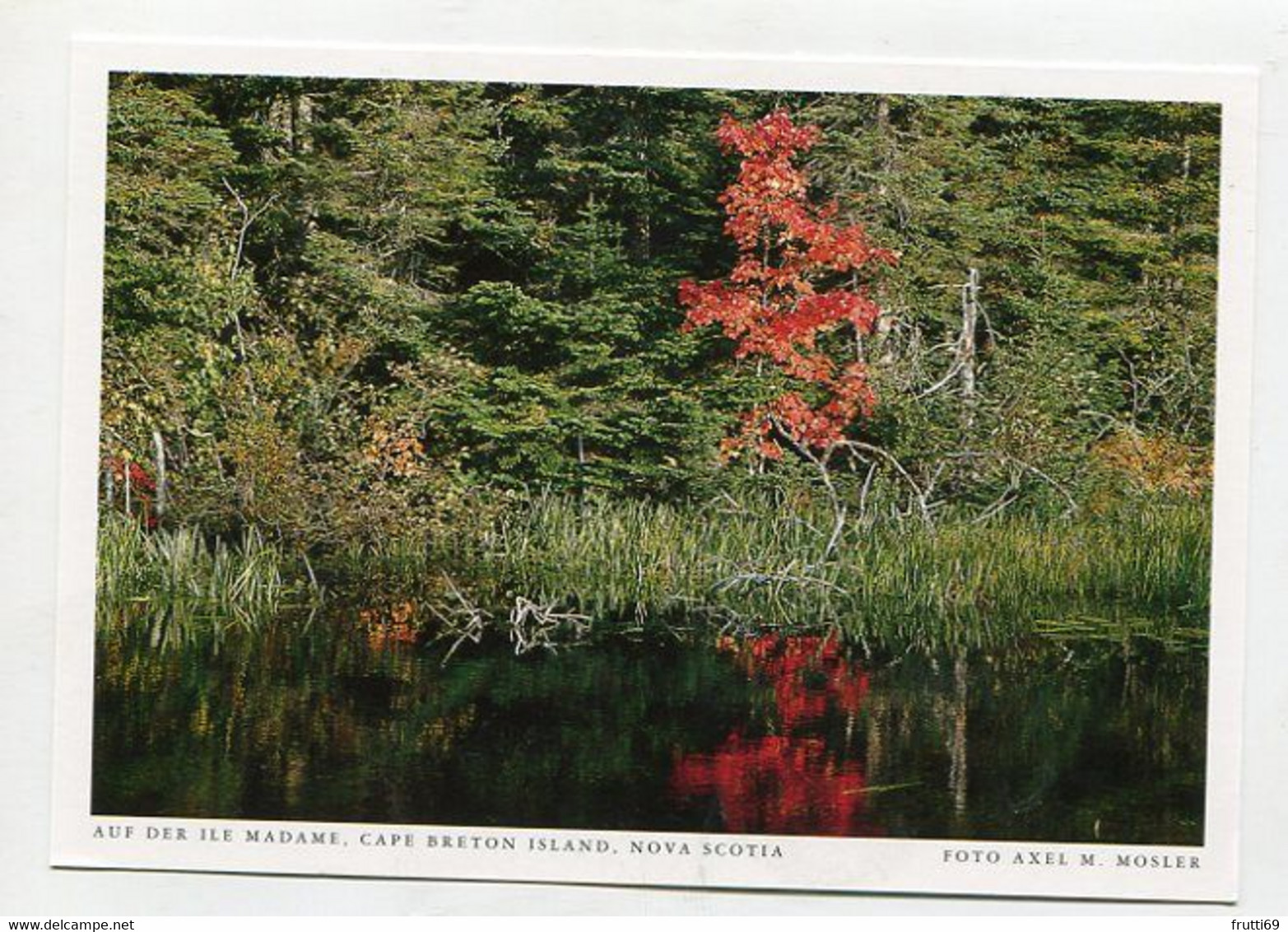 AK 074828 CANADA - Nova Scotia - Cape Breton Island - Auf Der Ile Madame - Cape Breton