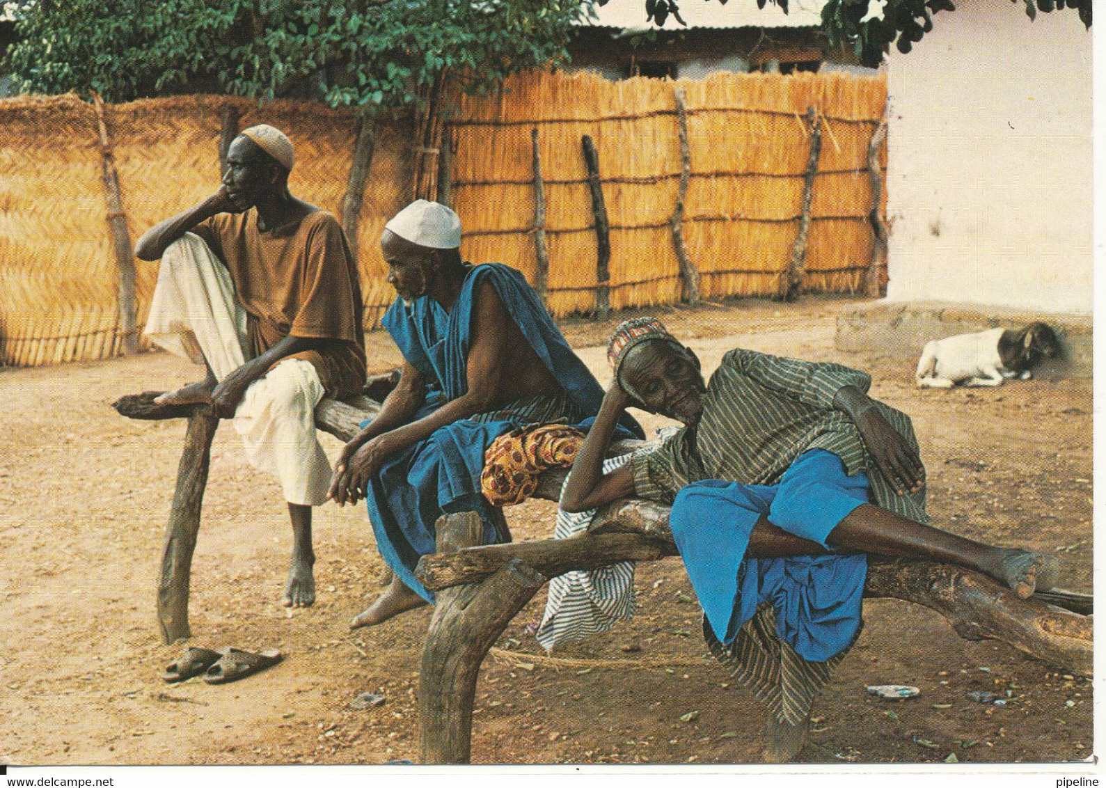 Gambia Postcard Sent To Denmark 24-2-1984 (Gambian Elder Rest At The Bantaba) - Gambia