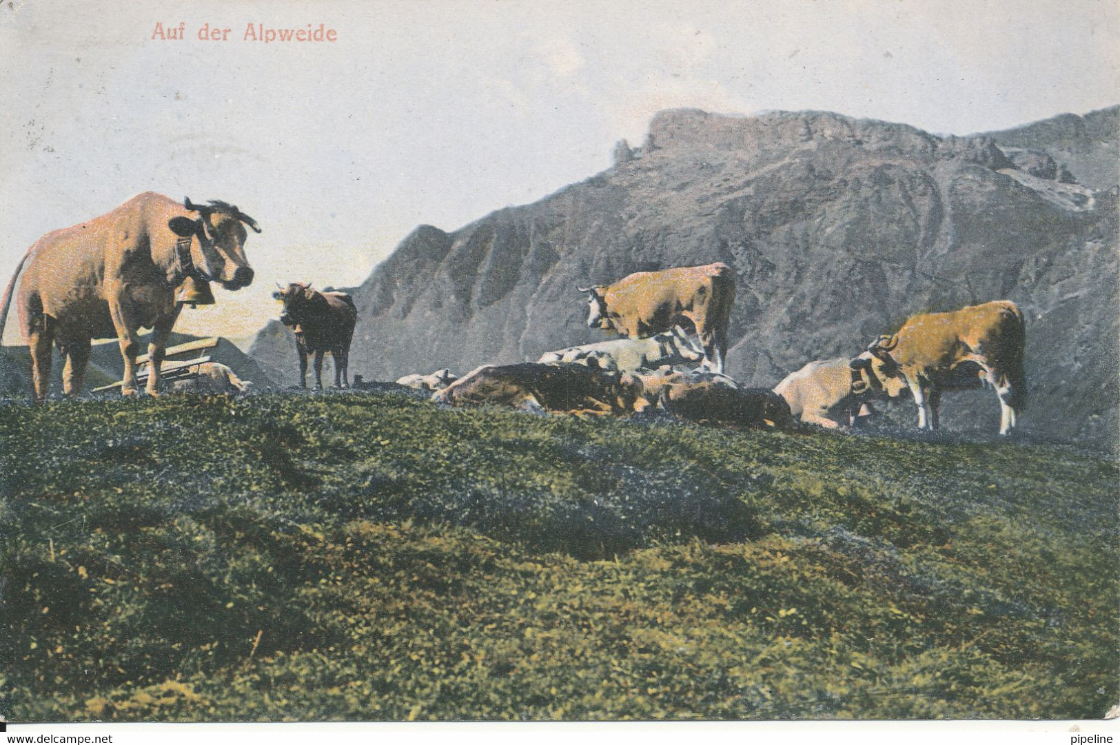 Switzerland Postcard Sent To Denmark 12-7-1908 Auf Der Alpweide - Sent