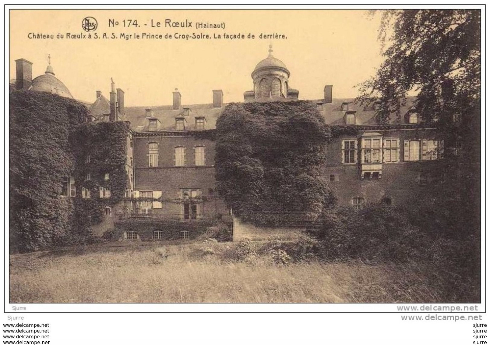 LE ROEULX - Château Mgr Le Prince De Croÿ-Solre - La Façade De Derrière - Kasteel - Le Roeulx