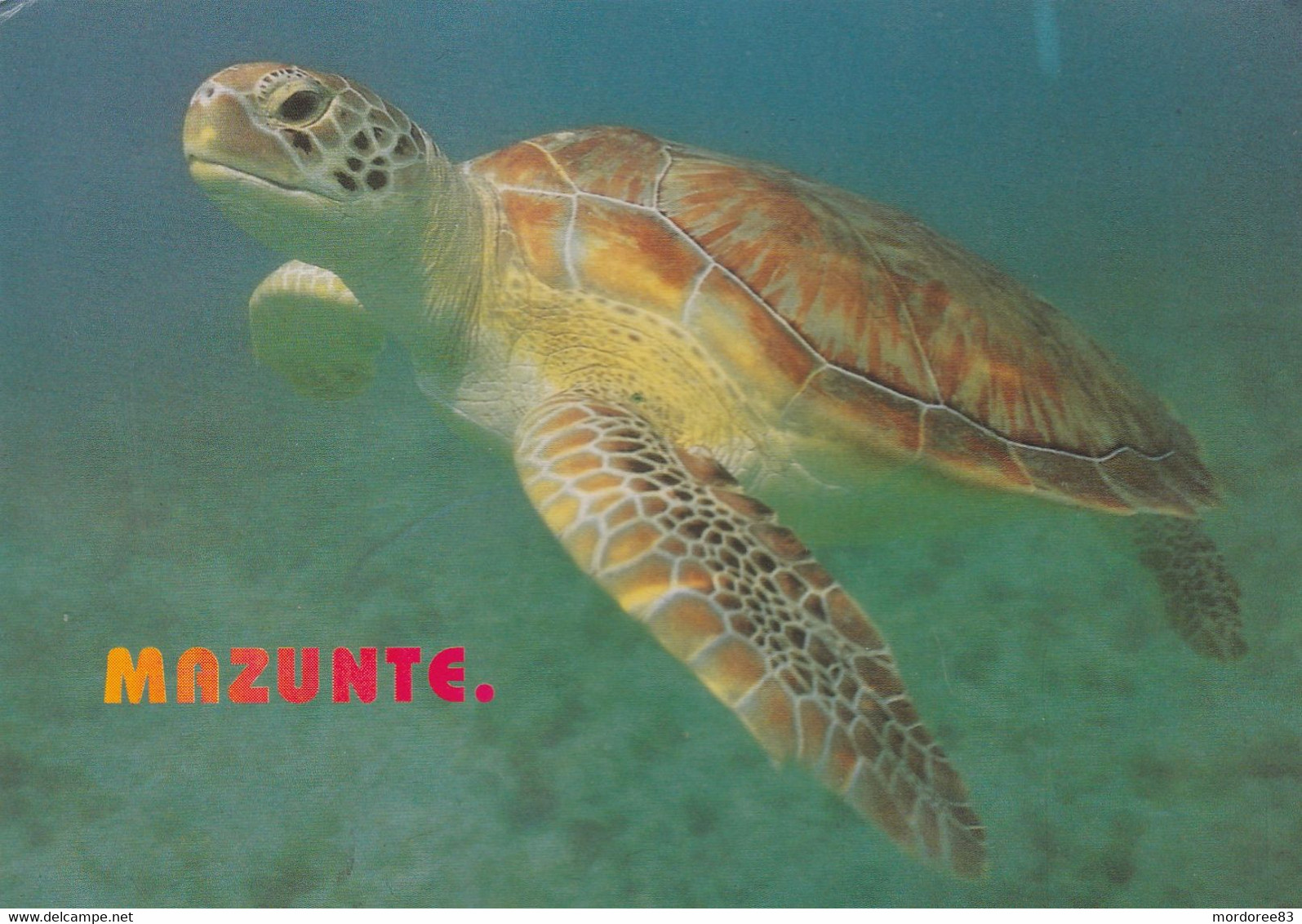 CPM / TORTUE MAZUNTE MEXIQUE + TIMBRE L ORQUE - Tortues