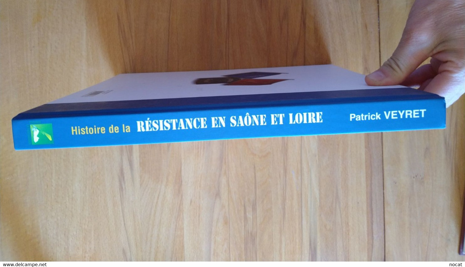 Histoire De La Résistance En Saône Et Loire Maquis Forces Spéciales SAS Patrick Veyret La Taillanderie 2001 - Bourbonnais