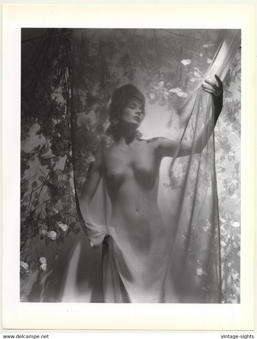 Lisa With Money Plant, 1939 Nude Study (1992 Sheet: Horst P. Horst 27.5 X 35.5 CM) - Ohne Zuordnung