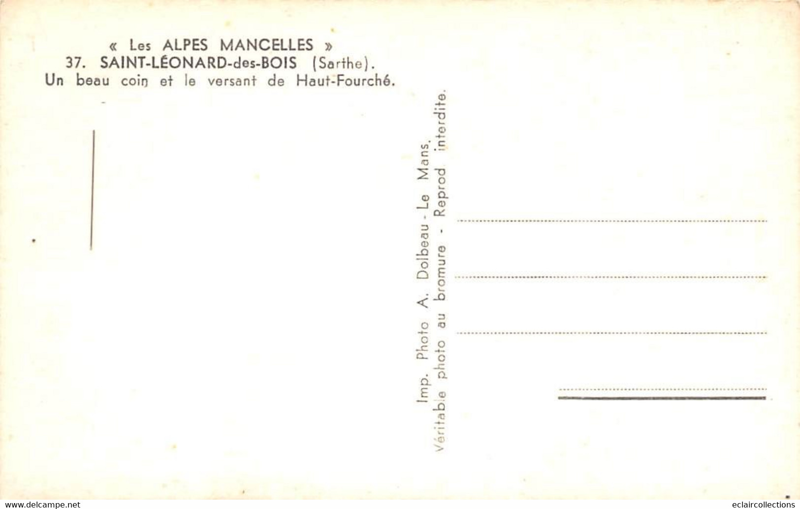 Saint Léonard Des Bois          72      Un Beau Coin Et Le Versant Du Haut Fourché          (voir Scan) - Saint Leonard Des Bois