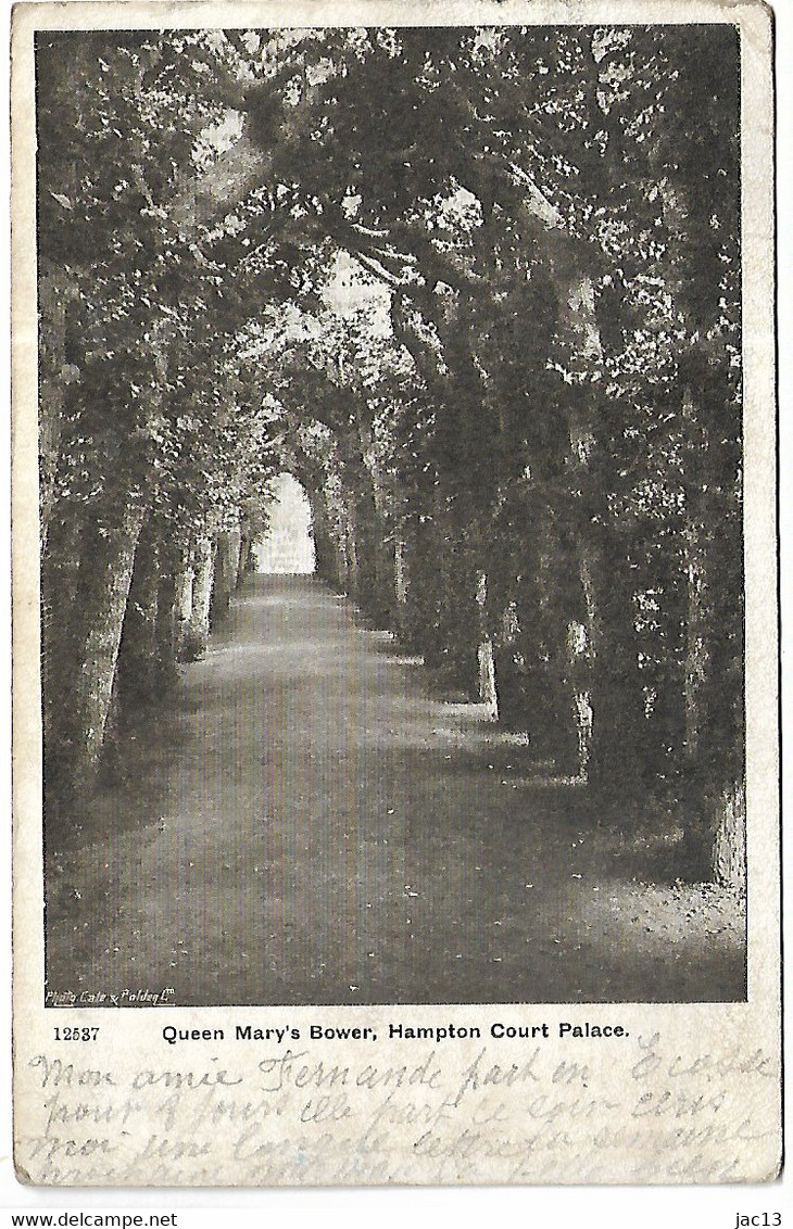 L120D597 - Queen Mary's Bower, Hampton Court Palace - Hampton Court