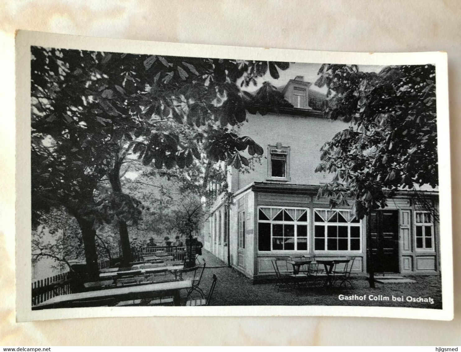 Germany Deutschland Gasthof Collm Bei Oschatz Terrasse Terrace 14577 Post Card POSTCARD - Oschatz