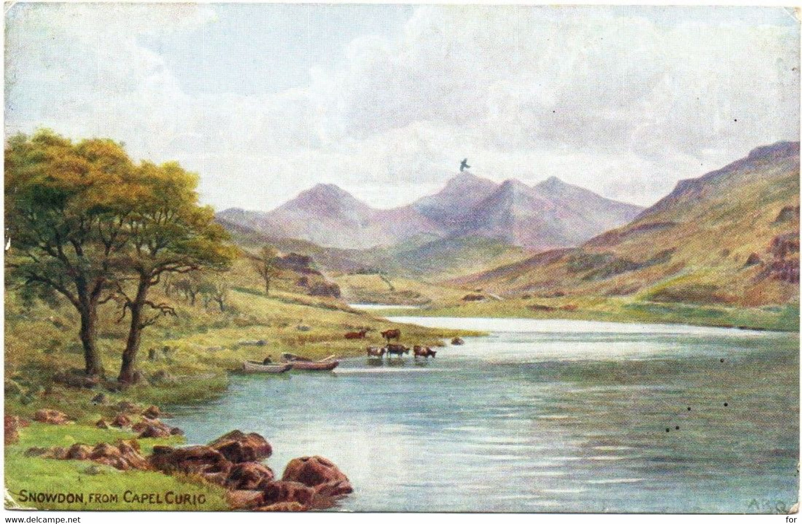 Illustrateur : A. R. , QUINTON : Snowdon From Capel Curig : N° 1037 : Vaches Au Bord Du Lac - Quinton, AR