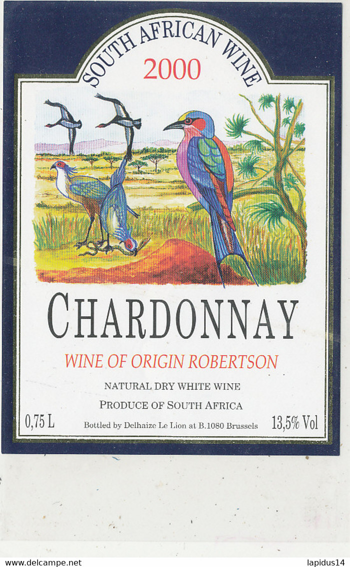 AN 1955  / ETIQUETTE  SOUTH AFRICAN WINE 2000 CHARDONNAY - South Africa