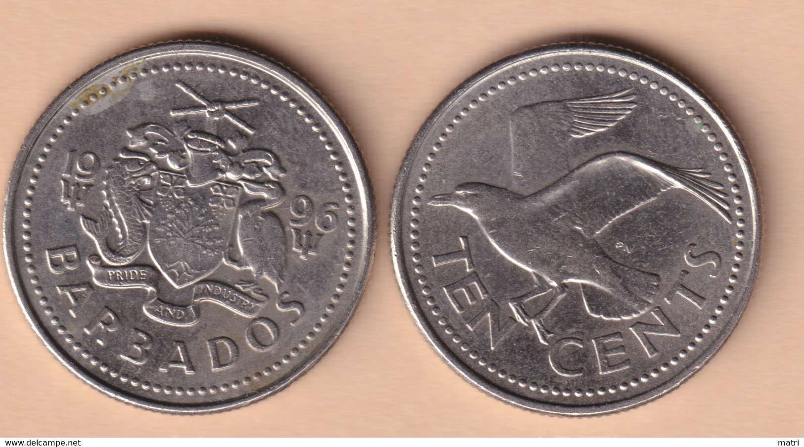 Barbados 10 Cents 1996 Km#12 - Barbados