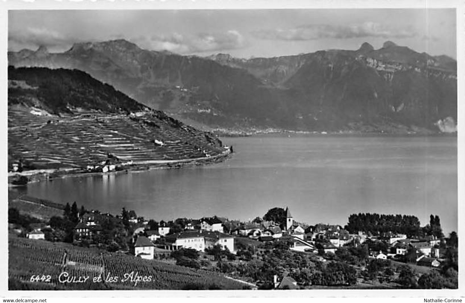 Cully Et Les Alpes -  Vaud Suisse - Lac Léman, Vignoble, Chablais - Cully