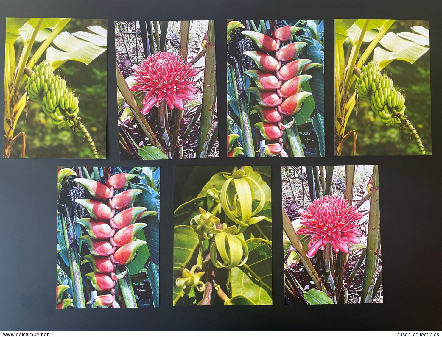 Comores Comoros 2011 Stationery Entier Ganzsache Plantes Pflanzen Plants Flore Flora - Other & Unclassified