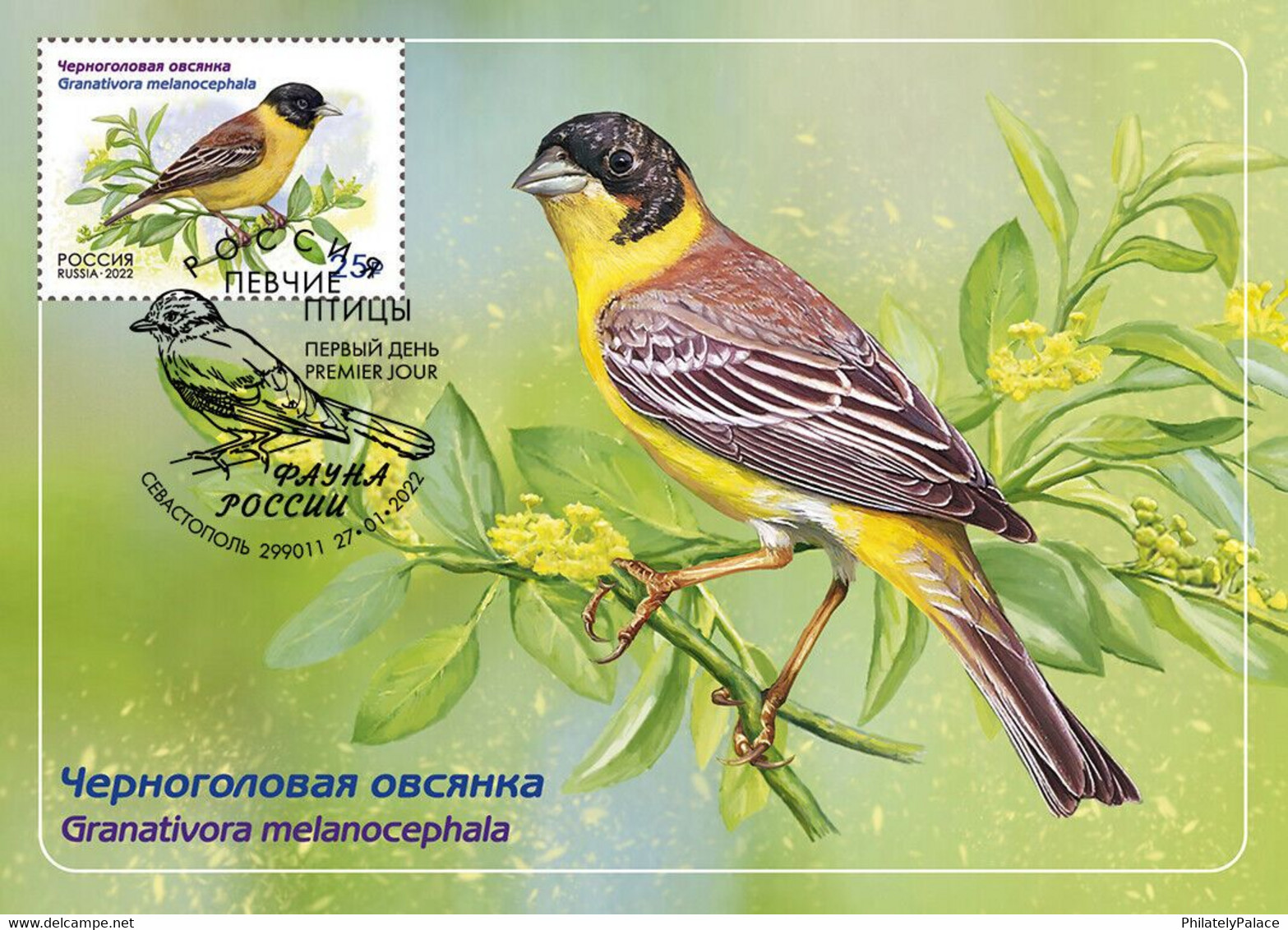 Russia 2022 Fauna Of Russia. Songbirds , Birds, Set Of 4 Maxicards, Maxi Card, Maximum  (**) RARE 1 Set Avaliable Only - Brieven En Documenten