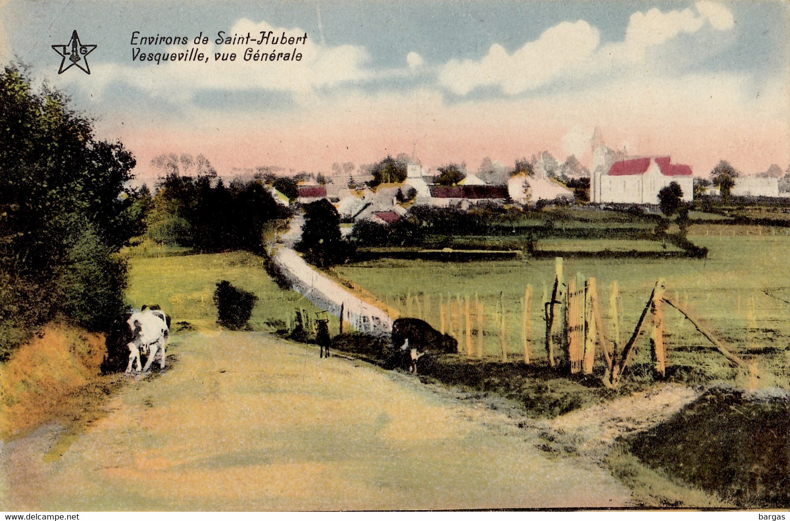 Carte Postale Environs De Saint Hubert Vesqueville Vue Générale - Saint-Hubert