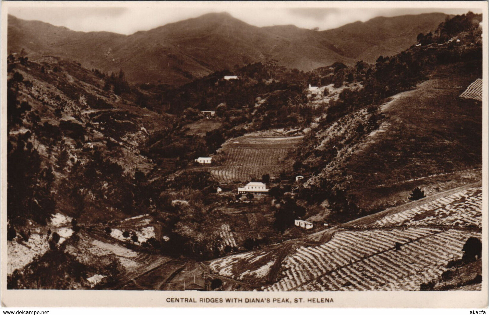 PC SAINT HELENA, DIANA'S PEAK, Vintage REAL PHOTO Postcard (b44192) - Sint-Helena