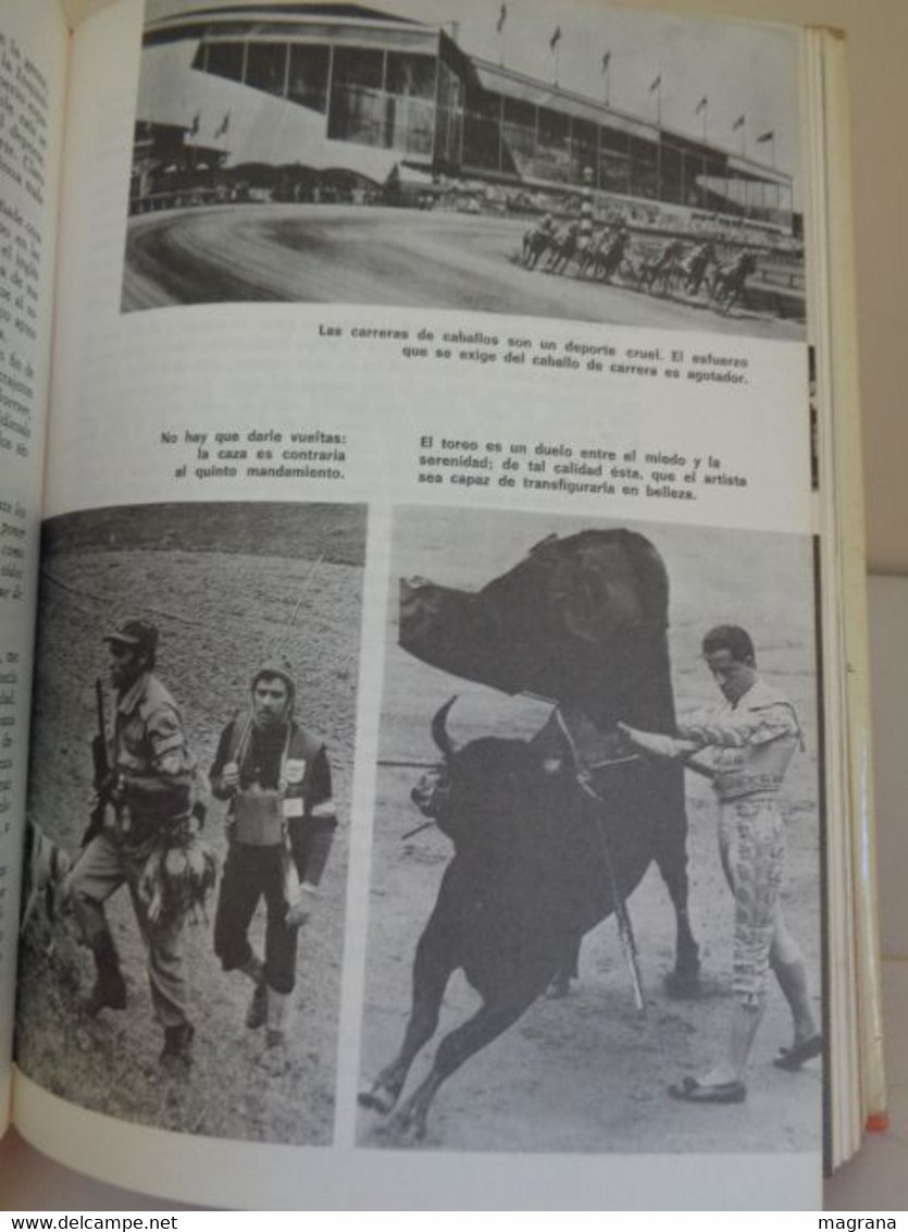 Dios y los Españoles. Salvador de Madariaga. Espejo de mañana. Editorial Planeta. 1975. 375 páginas.