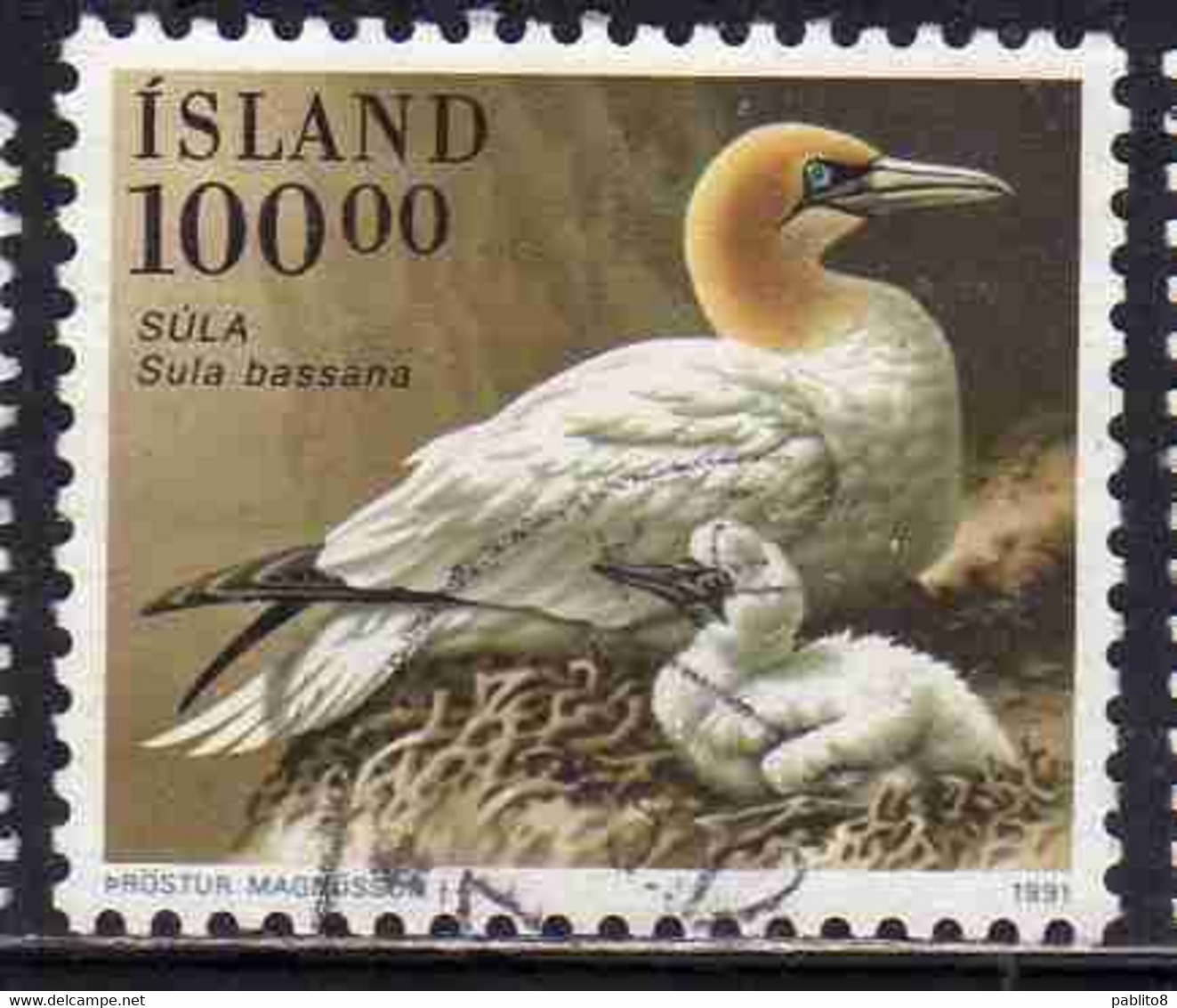 ISLANDA ICELAND ISLANDE ISLAND 1991 BIRD FAUNA BIRDS SULA BASSANA 100.00k USED USATO OBLITERE' - Gebruikt