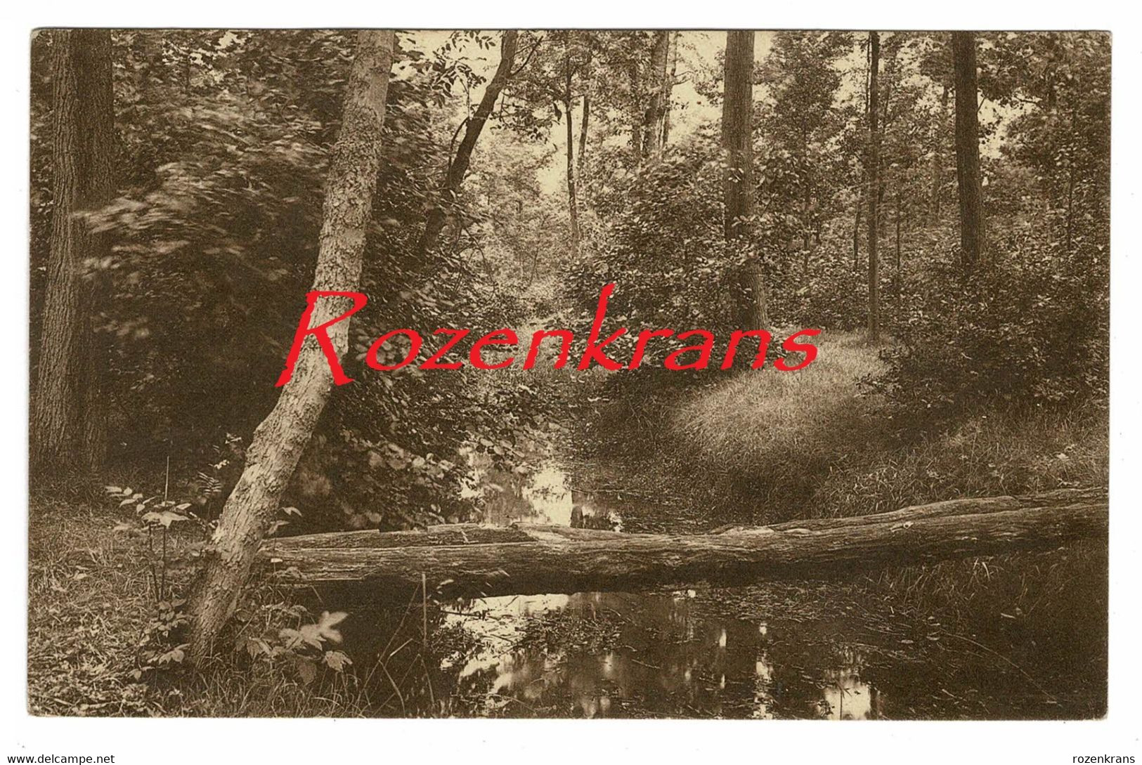 Rijmenam - Rymenam-lez-Malines Eau Noire La Passerelle De Brabantse Kempen Heide Bonheiden (zeer Goede Staat) - Bonheiden