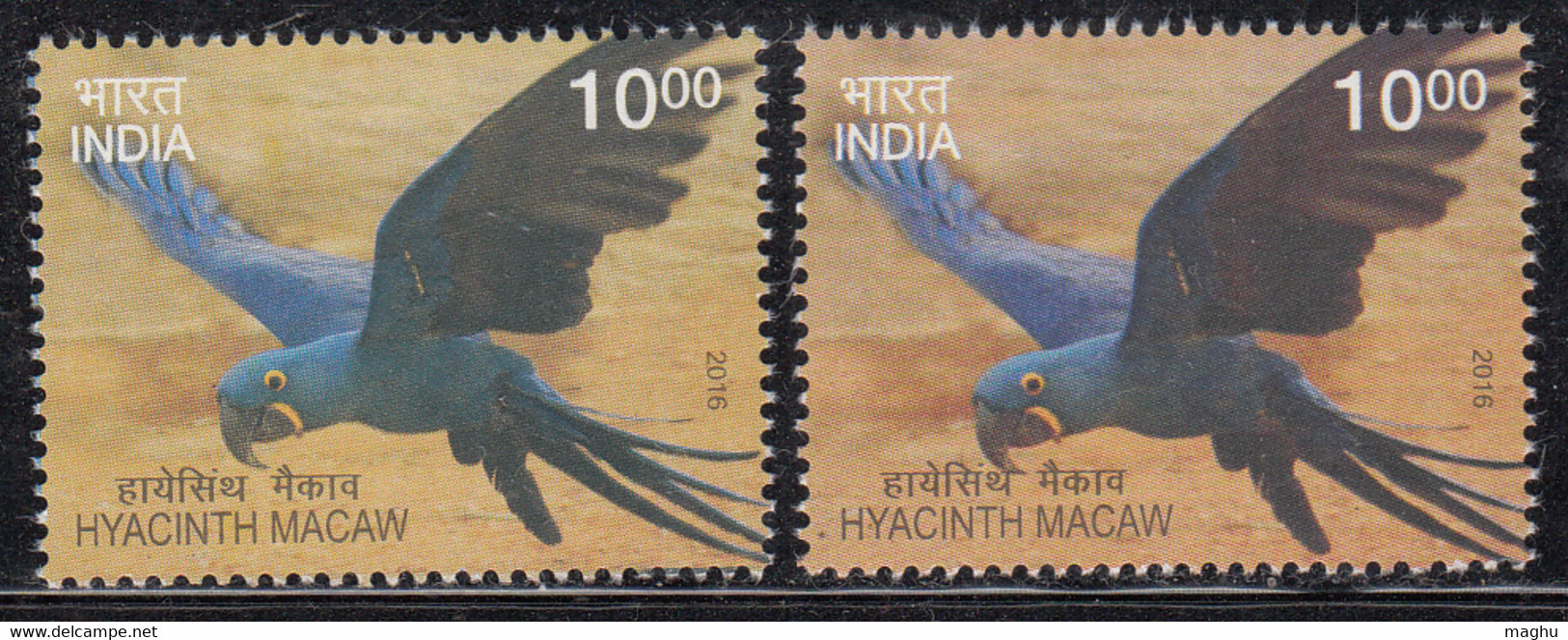 EFO, Colour Variety, India MNH 2016,  Bird, Hyacinth Macaw - Variétés Et Curiosités