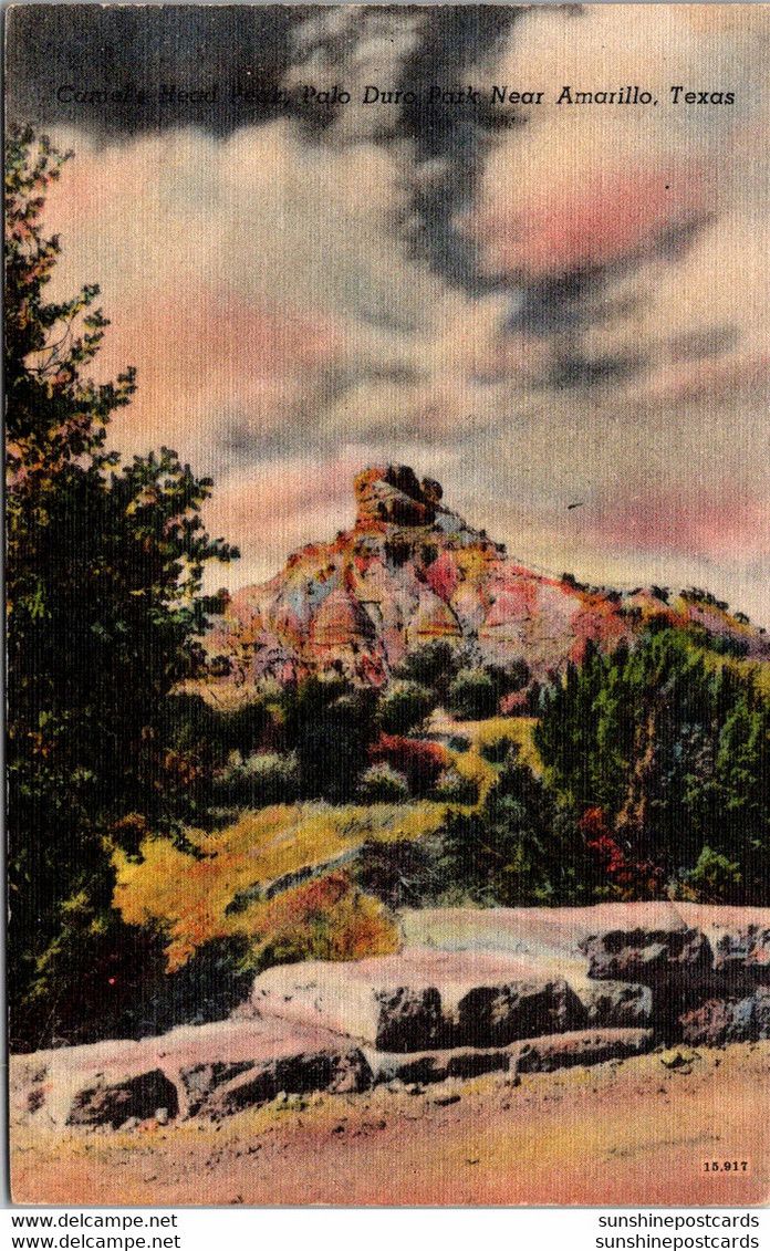 Texas Palo Duro Park Camel Hood Peak 1950 - Amarillo