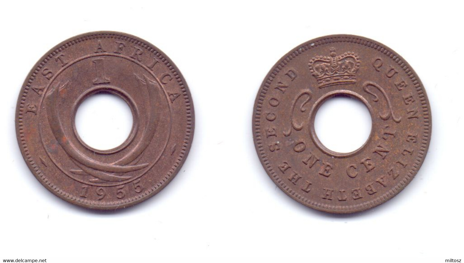 East Africa 1 Cent 1955 - Britische Kolonie