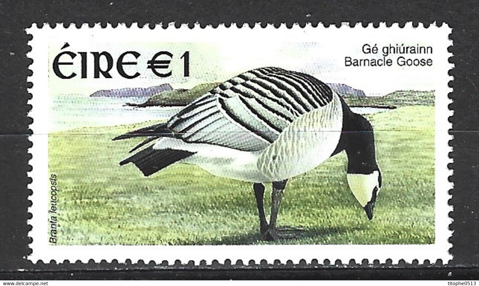 IRLANDE. N°1406 De 2002. Bernache. - Geese