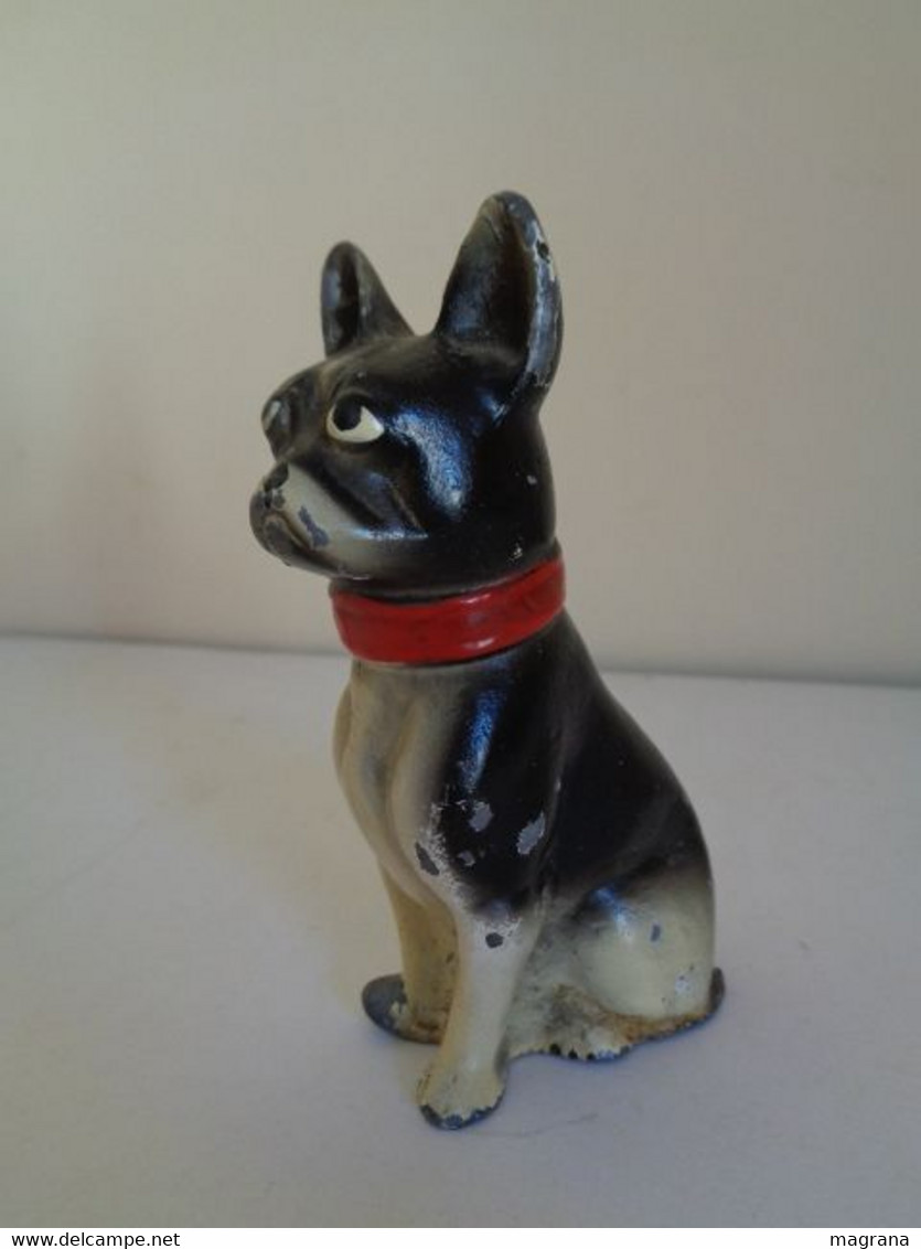 Escultura De Un Perro Boston Terrier Sentado Y Con Un Collar Rojo. Metal Pintado. Estilo Viena. - Metaal