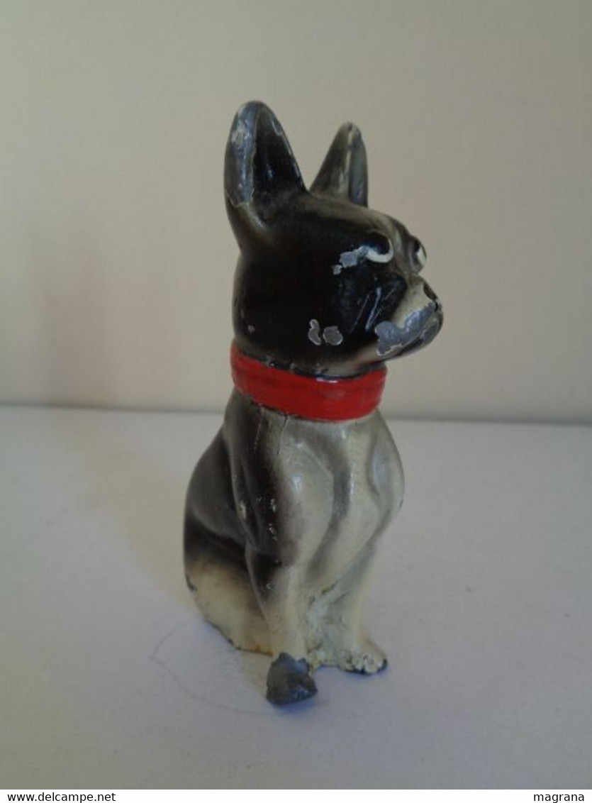 Escultura de un perro Boston Terrier sentado y con un collar rojo. Metal pintado. Estilo Viena.