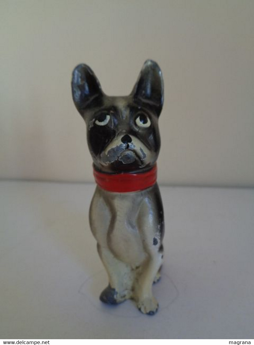 Escultura de un perro Boston Terrier sentado y con un collar rojo. Metal pintado. Estilo Viena.