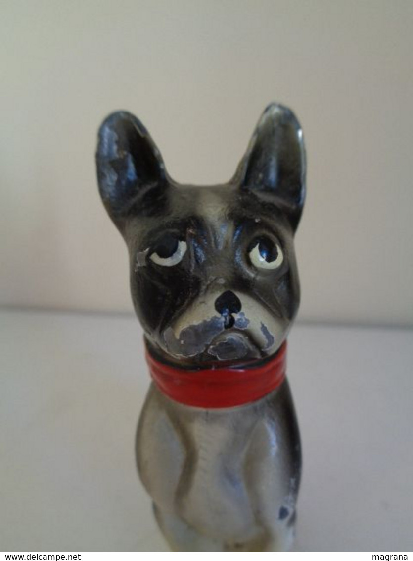 Escultura de un perro Boston Terrier sentado y con un collar rojo. Metal pintado. Estilo Viena.