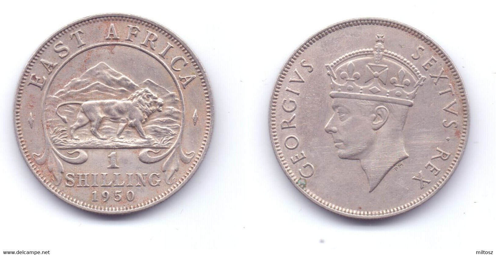 East Africa 1 Shilling 1950 H - Britische Kolonie