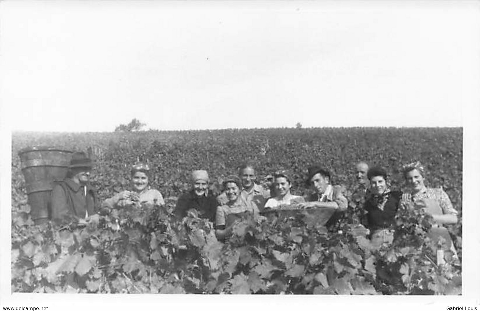 Carte-Photo Dans Lot: Féchy Allaman District De Rolle Vendanges Vignoble Vin Raisin - Noms Et Domicile Des Vendangeurs - Allaman