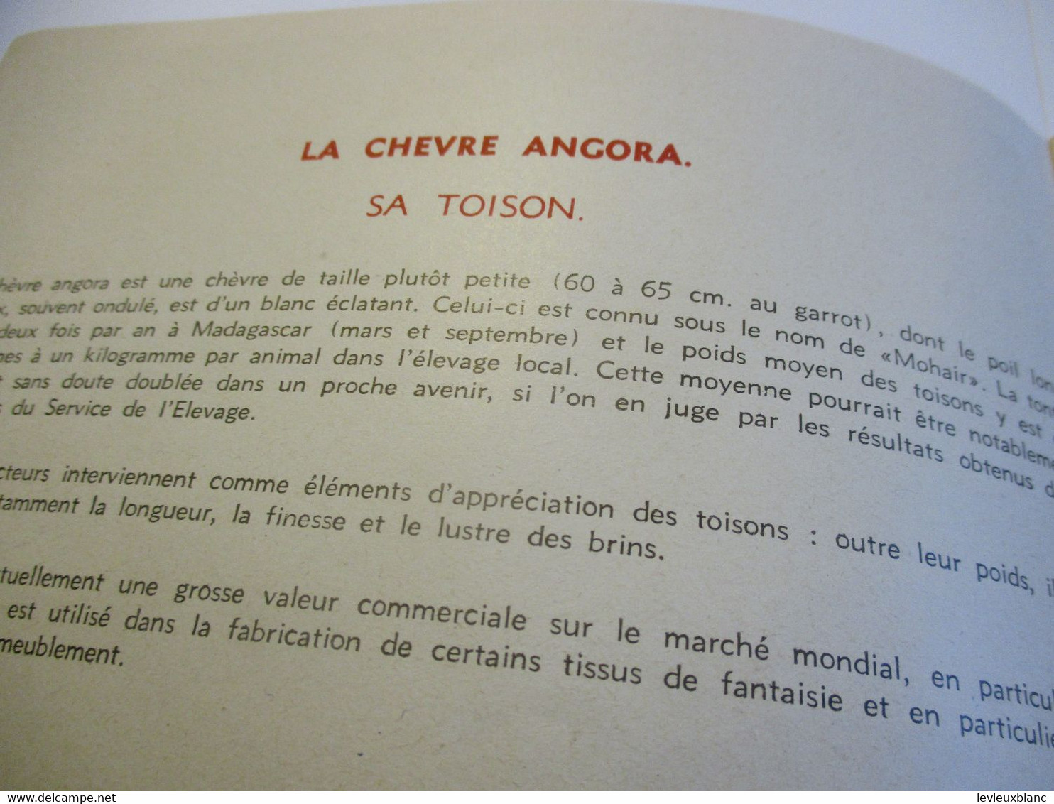 La Maison Du MOHAIR à AMPANIHY/ Tananarive / MADAGASCAR/La Chèvre ANGORA /1952                                     MOD40 - Textile & Clothing