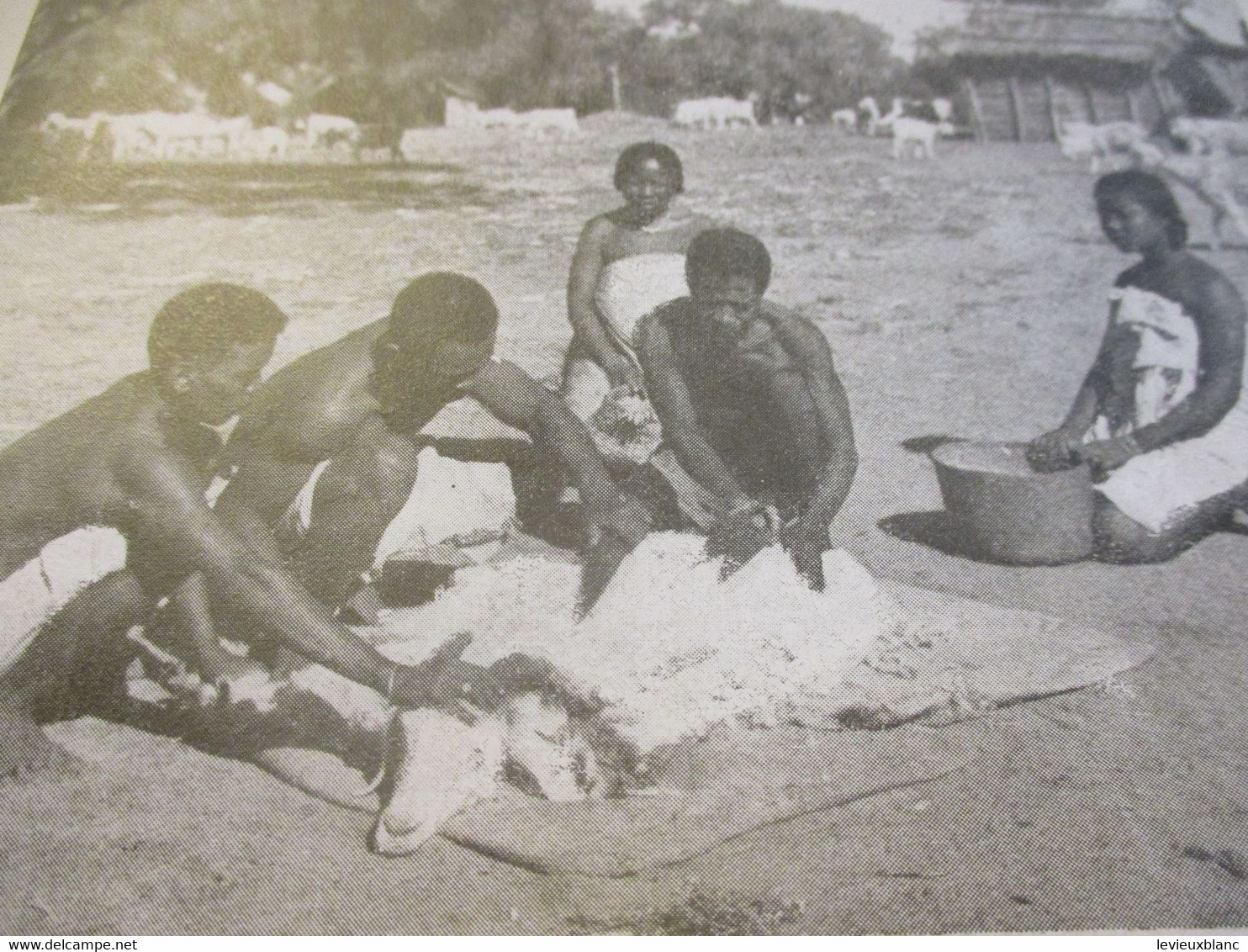 La Maison du MOHAIR à AMPANIHY/ Tananarive / MADAGASCAR/La Chèvre ANGORA /1952                                     MOD40