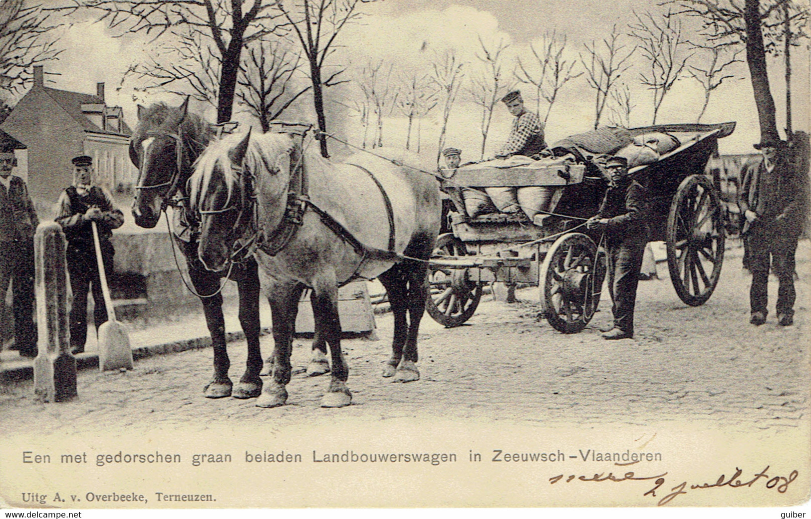 Sluis Een Met Gedorschen Graan Beladen Landbouwerswagen In Zeeuwsch Vlaanderen - Sluis