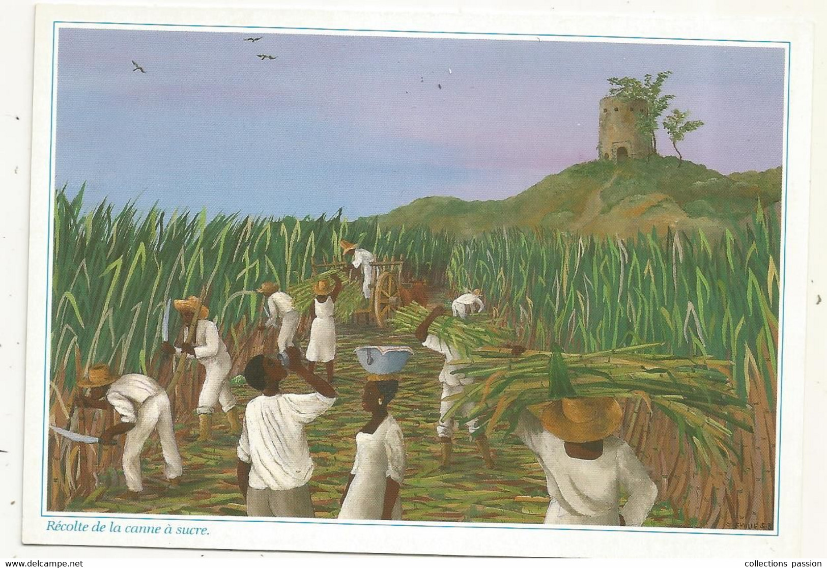 Cp , Images Des ANTILLES , Illustrateur Emilie ,RECOLTE DE LA CANNE A SUCRE , Agriculture ,culture, Vierge - Other & Unclassified