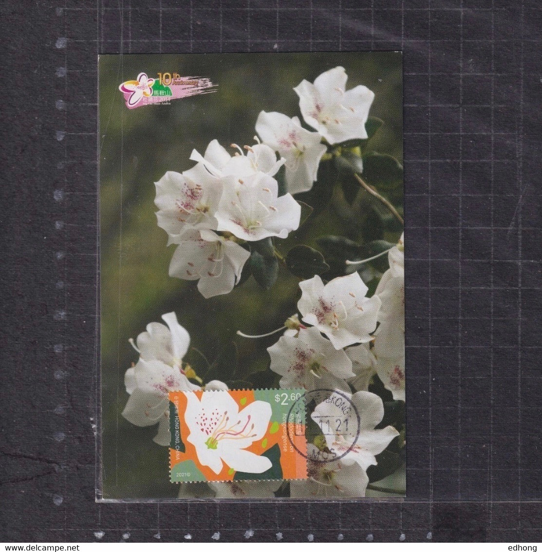 [Carte Maximum / Maximum Card /  Maximumkarte] Hong Kong 2021 | Domestic Flowers - Azalea, Datestamp With Maonshan - Maximum Cards