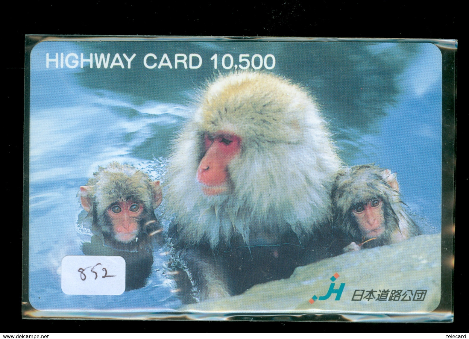 Carte Prépayée JAPON *  AAP  (852) MONKEY * SINGE * AFFE * SCIMMIA *  PREPAIDCARD * KARTE - Dschungel