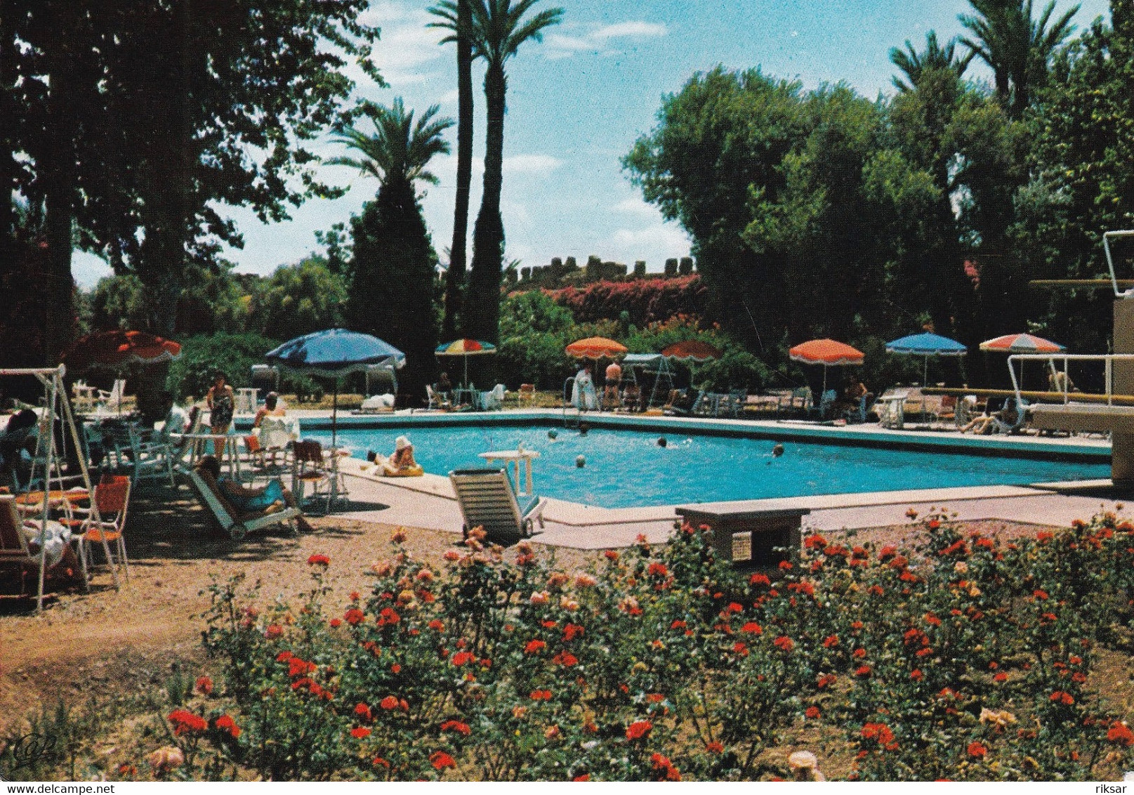 MAROC(MARRAKECH) MAMOUNIA(PISCINE) - Marrakech