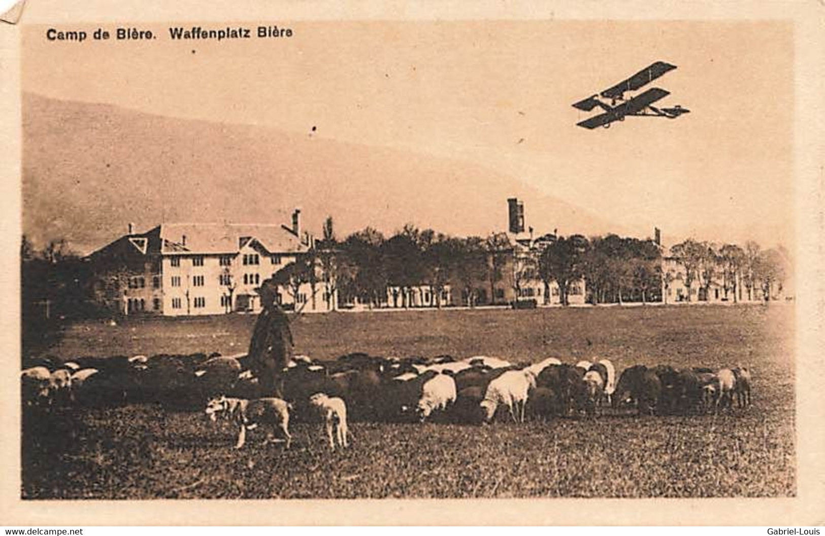 Militaria Aviation Avion Camp De Bière Waffenplatz Troupeau De Mouton Armée Suisse Schweizer Armee - Bière