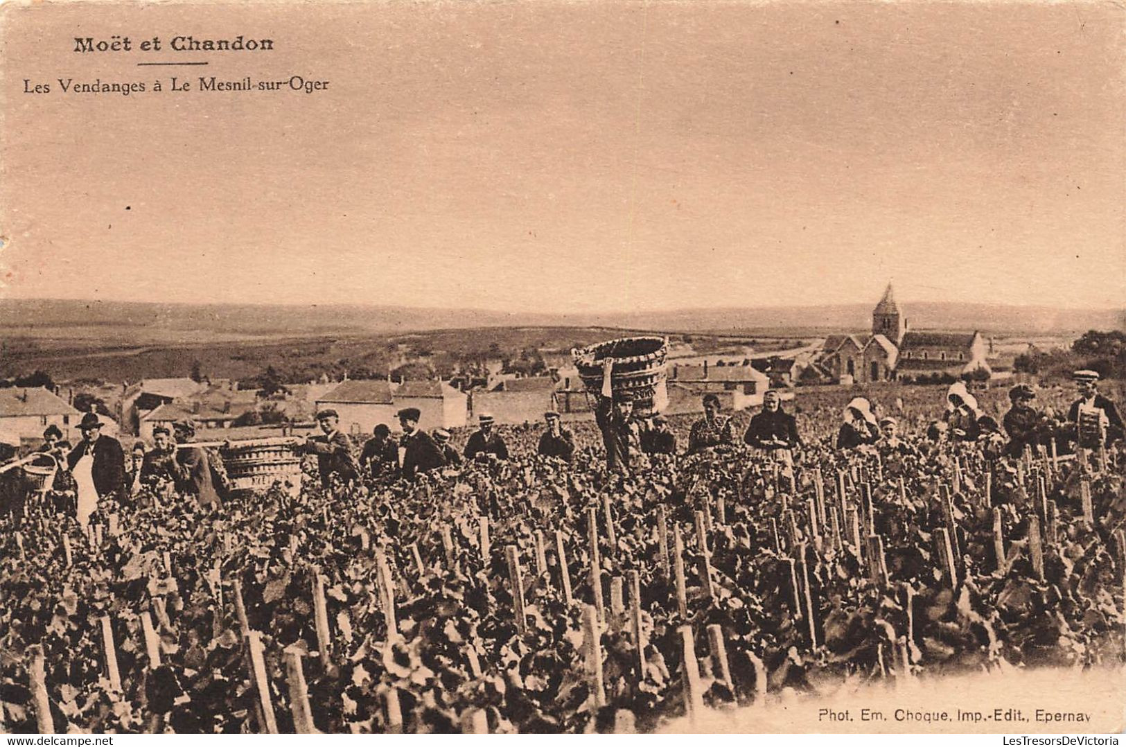 CPA Vignes - Vendanges - Les Vendanges A Le Mesnil Sur Oger - Moet Et Chandon - Tres Animé - Vines